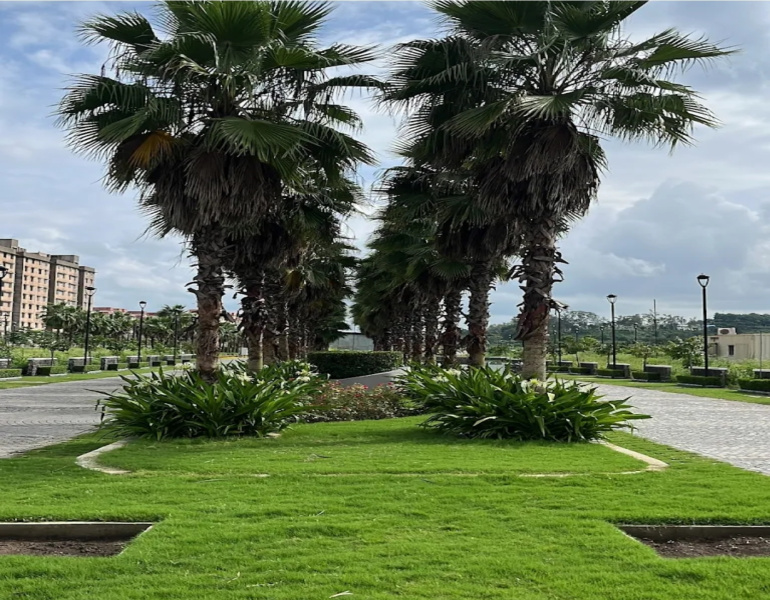  1250 Sq.ft. Residential Plot for Sale in Bada Bangarda, Indore