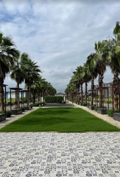  1250 Sq.ft. Residential Plot for Sale in Bada Bangarda, Indore