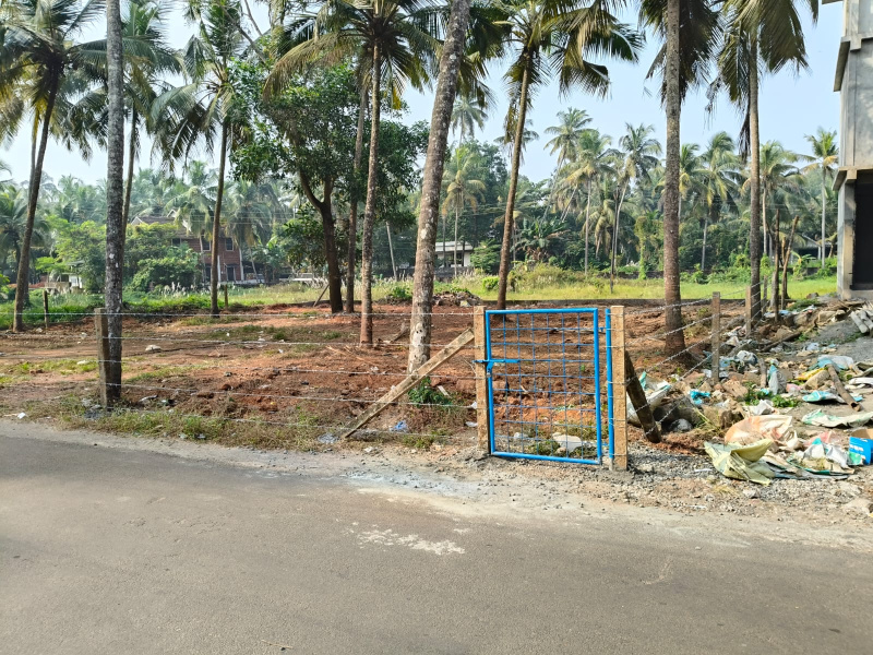  12 Cent Commercial Land for Rent in Tirur, Malappuram