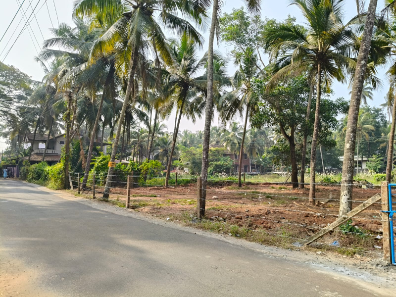  12 Cent Commercial Land for Rent in Tirur, Malappuram