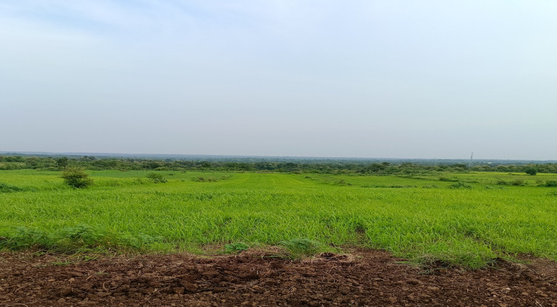  63 Bigha Agricultural/Farm Land for Sale in Rojhav, Kheda