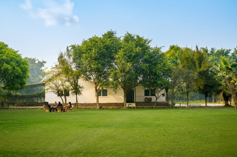 4 BHK 3382 Sq. Yards Farm House for Sale in Sector 135 Noida