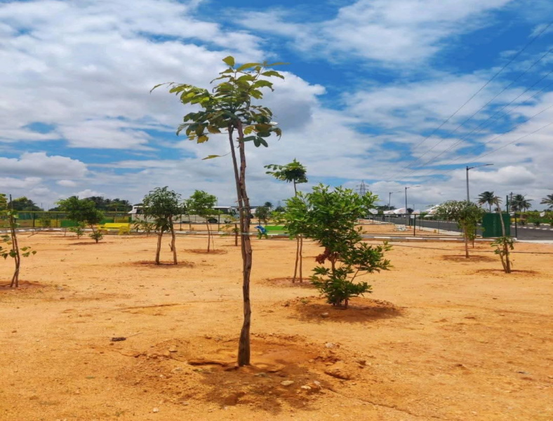  600 Sq.ft. Residential Plot for Sale in Devanahalli, Bangalore