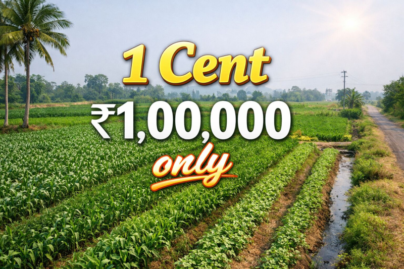  14520 Sq.ft. Residential Plot for Sale in Vuyyuru, Vijayawada