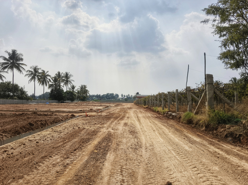  1200 Sq.ft. Residential Plot for Sale in Yelahanka, Bangalore