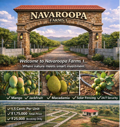  2 Cent Agricultural/Farm Land for Sale in Addanki, Prakasam