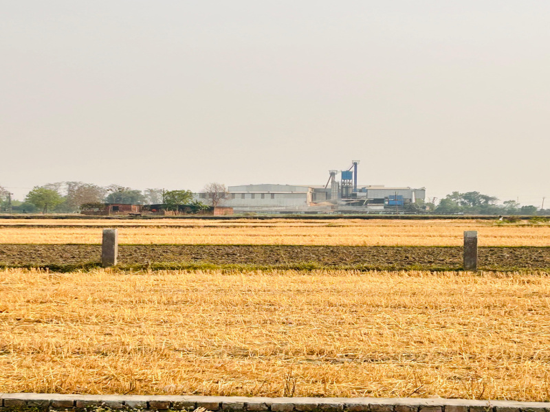  1000 Sq.ft. Residential Plot for Sale in Hetimpur, Kushinagar