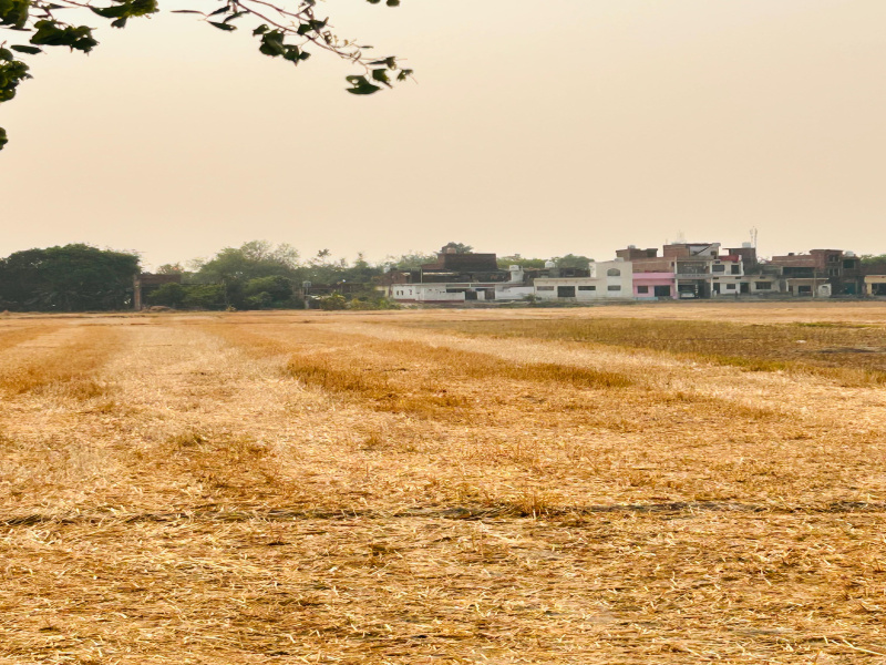  1000 Sq.ft. Residential Plot for Sale in Hetimpur, Kushinagar