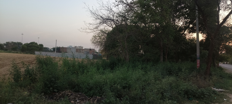  49000 Sq.ft. Agricultural/Farm Land for Rent in Tauru, Nuh