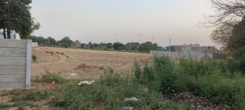  49000 Sq.ft. Agricultural/Farm Land for Rent in Tauru, Nuh