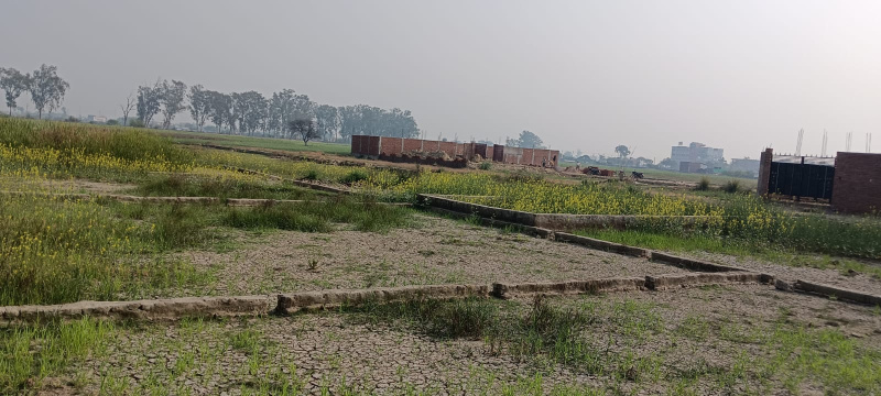  1000 Sq. Yards Residential Plot for Sale in Ghurpur, Allahabad