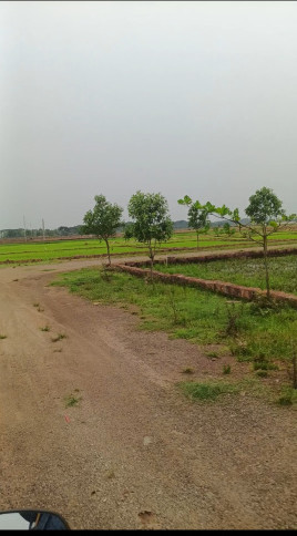  2000 Sq.ft. Residential Plot for Sale in Patrapada, Bhubaneswar