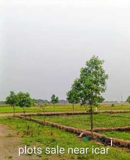  2000 Sq.ft. Residential Plot for Sale in Patrapada, Bhubaneswar