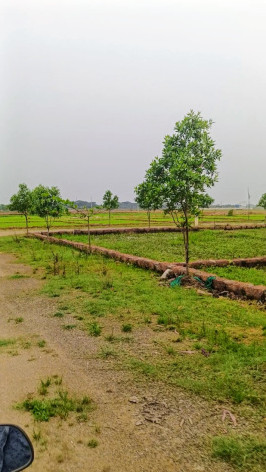  2000 Sq.ft. Residential Plot for Sale in Patrapada, Bhubaneswar