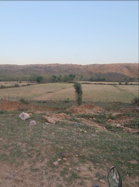  36 Bigha Agricultural/Farm Land for Sale in Khairthal, Alwar