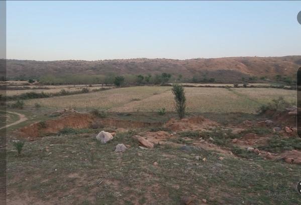  36 Bigha Agricultural/Farm Land for Sale in Khairthal, Alwar