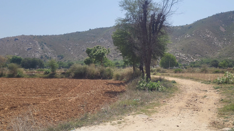  4 Bigha Agricultural/Farm Land for Sale in Khairthal, Alwar