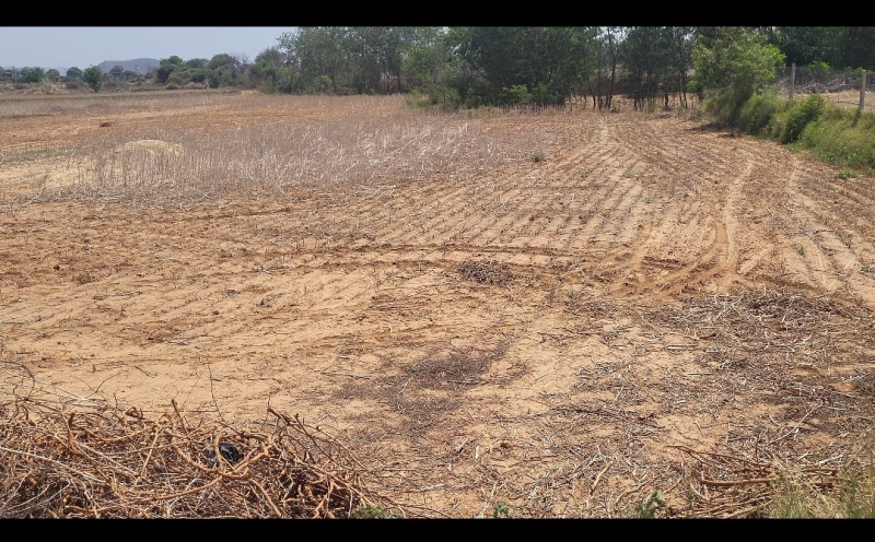 20 Bigha Agricultural/Farm Land for Sale in Bansur, Alwar