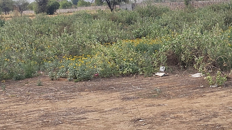  7 Bigha Agricultural/Farm Land for Sale in NH 8, Behror
