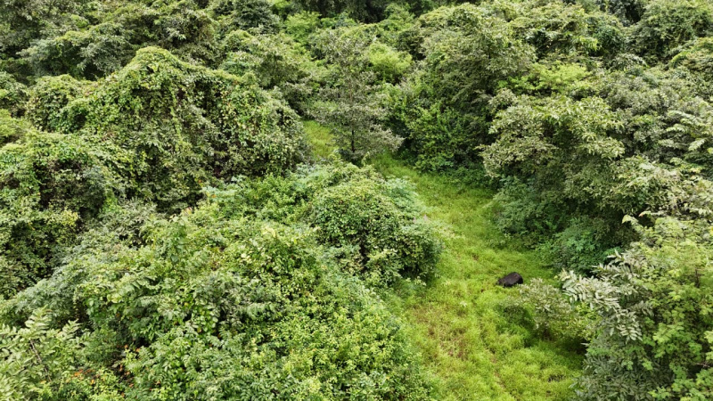  16 Acre Agricultural/Farm Land for Sale in Lanja, Ratnagiri