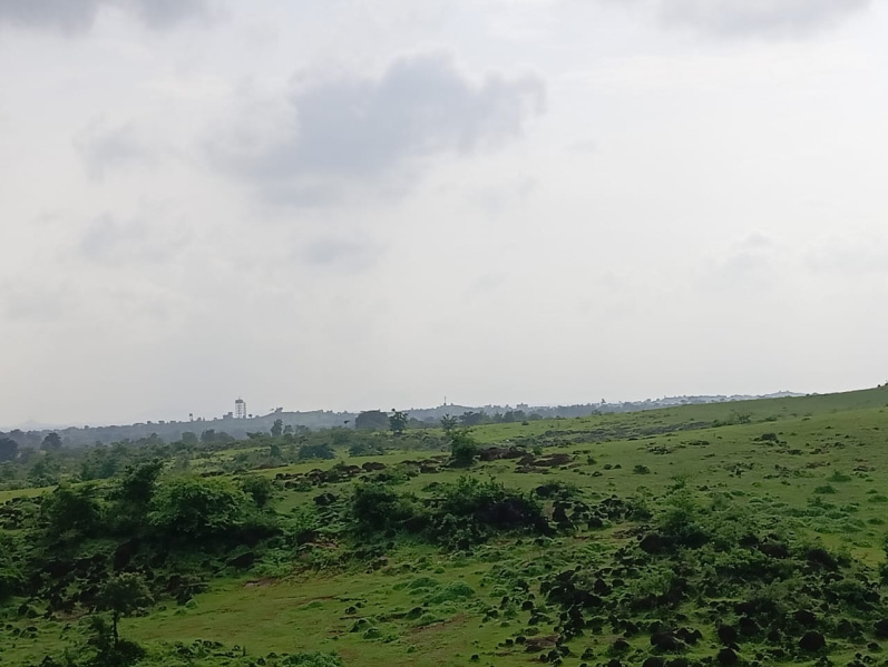  113 Acre Agricultural/Farm Land for Sale in Khed, Pune