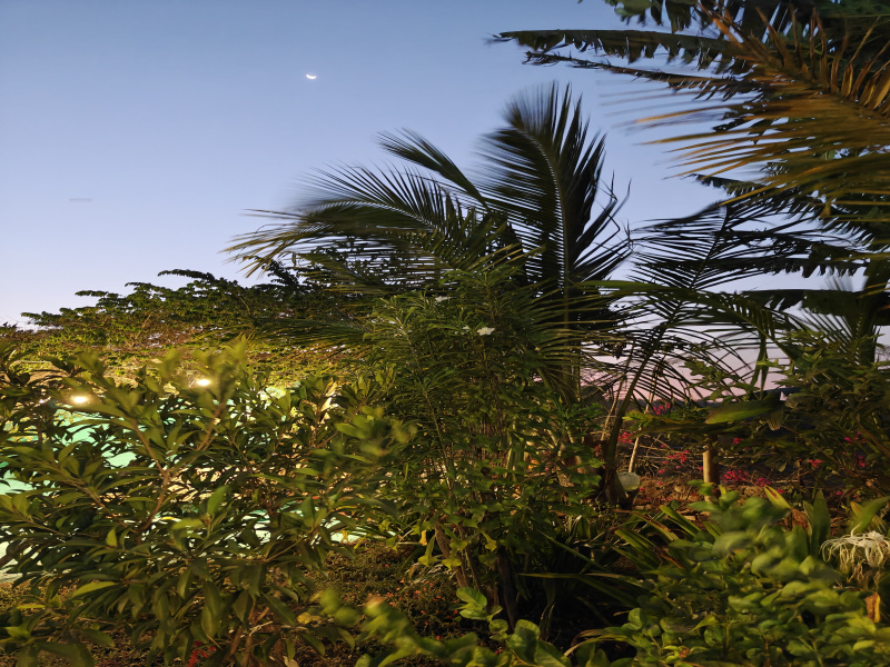  2000 Sq.ft. Residential Plot for Sale in Saphale, Palghar