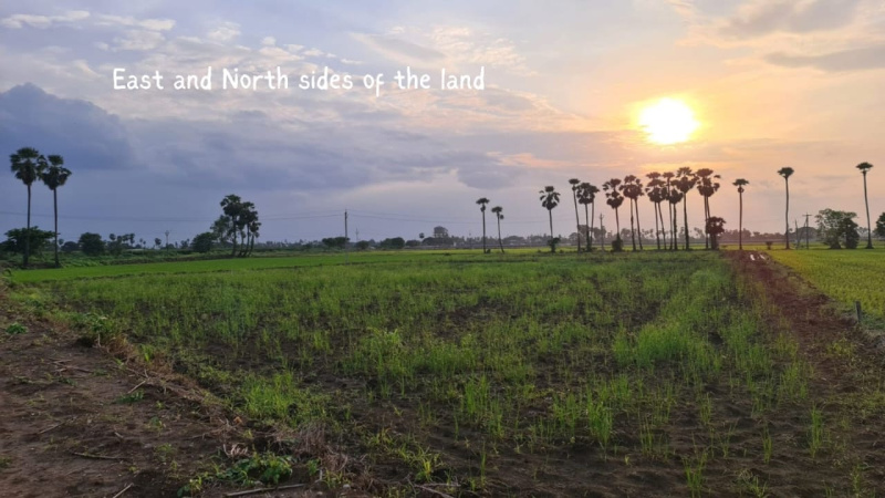  2 Acre Agricultural/Farm Land for Sale in Kankipadu, Vijayawada