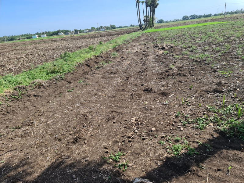  2 Acre Agricultural/Farm Land for Sale in Kankipadu, Vijayawada