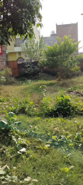  4200 Sq.ft. Commercial Land for Sale in Dubbaga, Lucknow