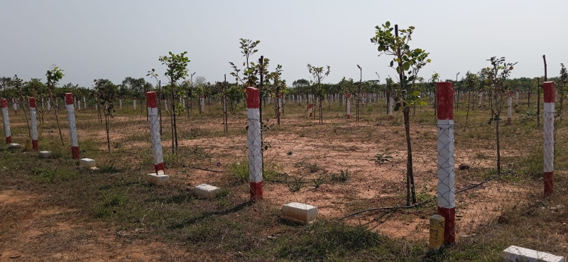  2400 Sq.ft. Residential Plot for Sale in Uthukkottai, Thiruvallur