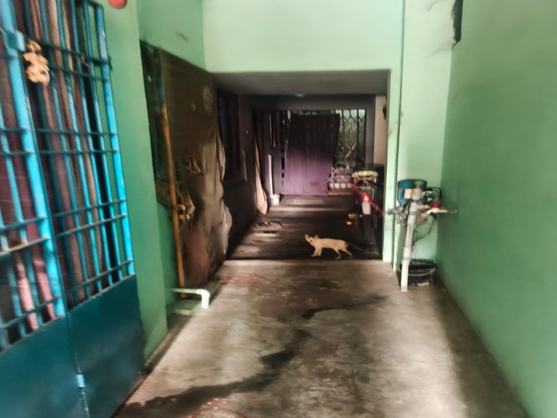 1 RK 300 Sq.ft. House for Sale in Mangadu, Chennai