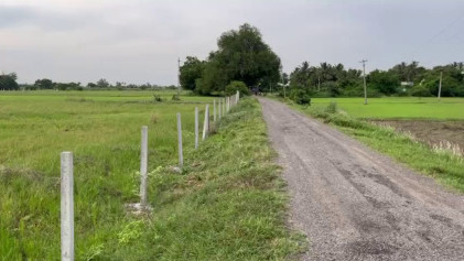  9611 Sq.ft. Agricultural/Farm Land for Sale in Ponneri, Thiruvallur