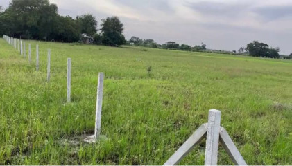  9611 Sq.ft. Agricultural/Farm Land for Sale in Ponneri, Thiruvallur