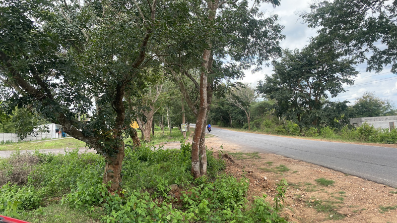  3 Acre Agricultural/Farm Land for Rent in Jayapura, Mysore