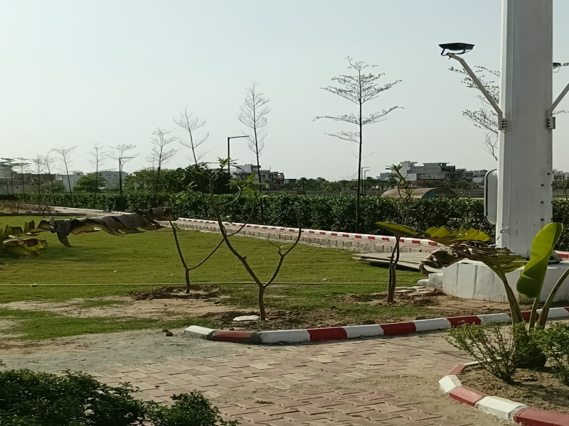  156 Sq. Yards Residential Plot for Sale in Sector 29, Jhajjar