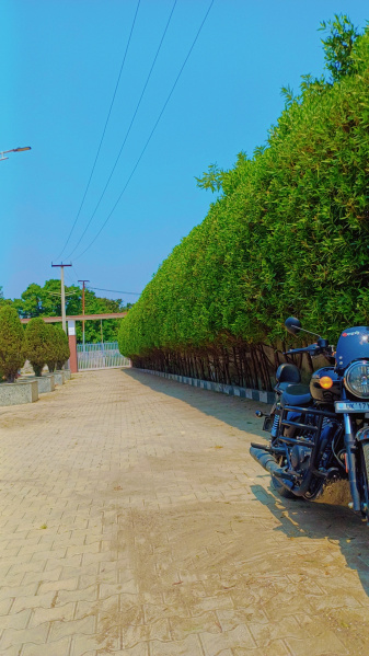  1200 Sq.ft. Residential Plot for Sale in Bhagwanpur, Haridwar