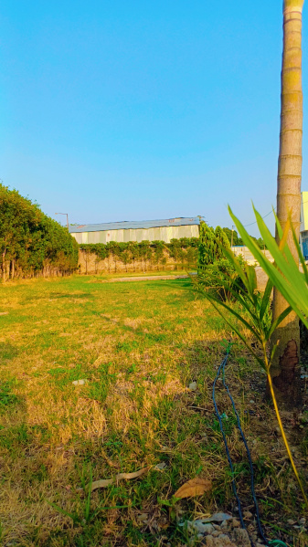  1300 Sq.ft. Residential Plot for Sale in Bhagwanpur, Haridwar