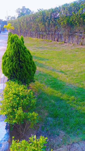  1300 Sq.ft. Residential Plot for Sale in Bhagwanpur, Haridwar