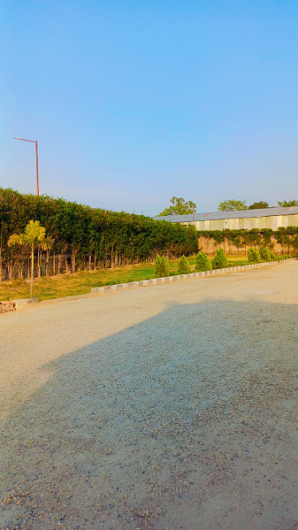  1354 Sq.ft. Residential Plot for Sale in Bhagwanpur, Haridwar