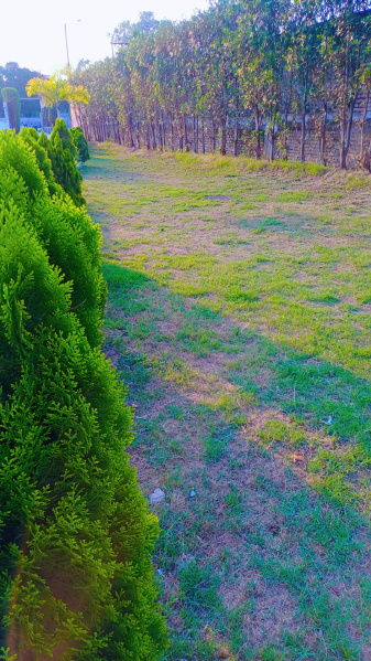  1200 Sq.ft. Residential Plot for Sale in Bhagwanpur, Haridwar