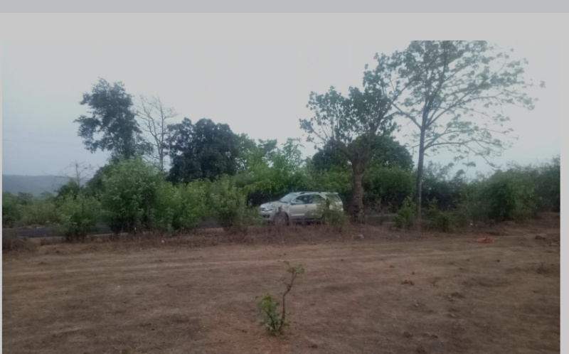  30 Acre Residential Plot for Sale in Roha, Raigad
