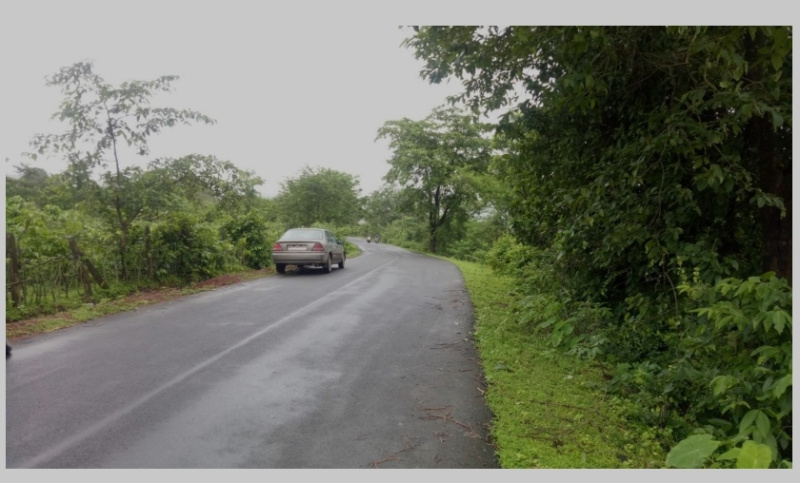  30 Acre Residential Plot for Sale in Roha, Raigad