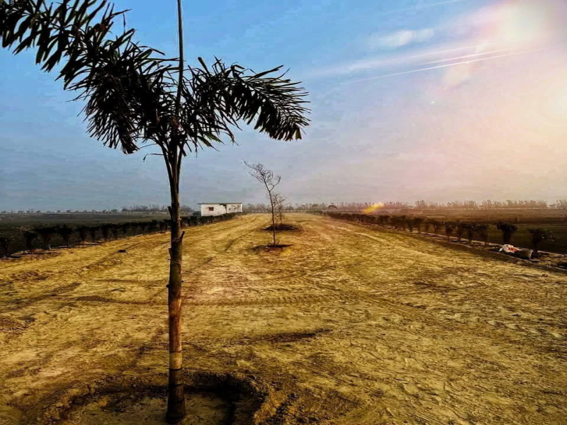  1250 Sq.ft. Residential Plot for Sale in Maniram, Gorakhpur