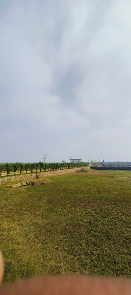  1250 Sq.ft. Residential Plot for Sale in Maniram, Gorakhpur