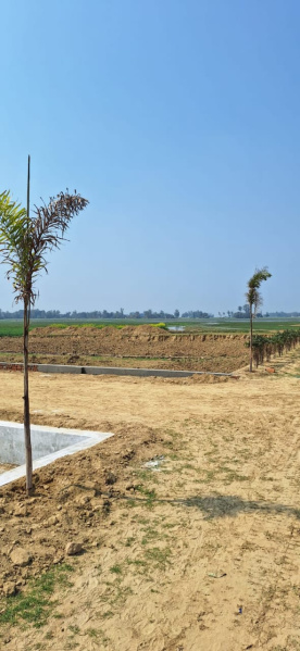  1250 Sq.ft. Residential Plot for Sale in Maniram, Gorakhpur
