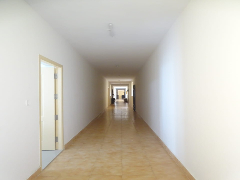 1 BHK 495 Sq.ft. Apartment for Sale in Siruseri, Chennai