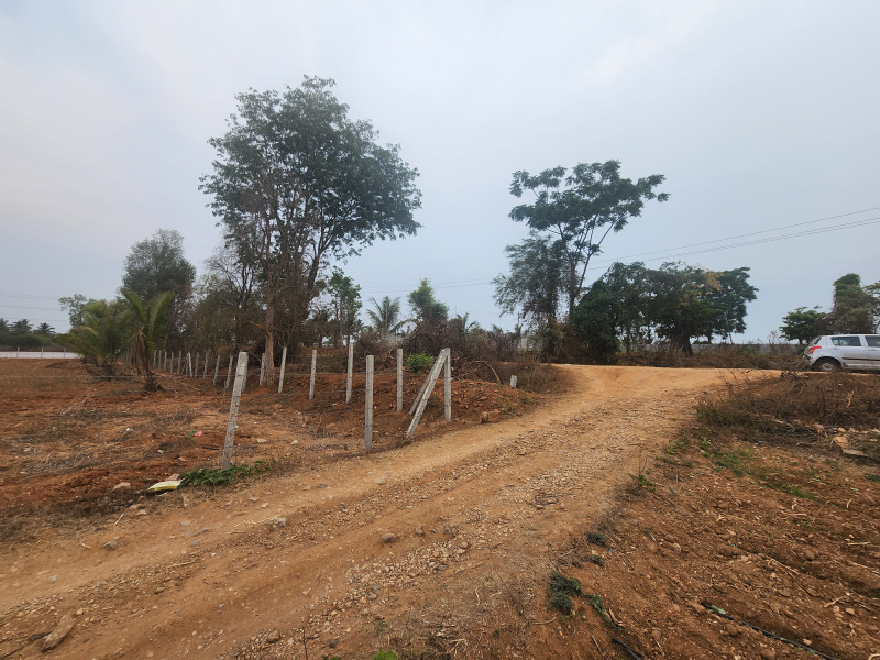  40 Guntha Agricultural/Farm Land for Sale in Jayapura, Mysore