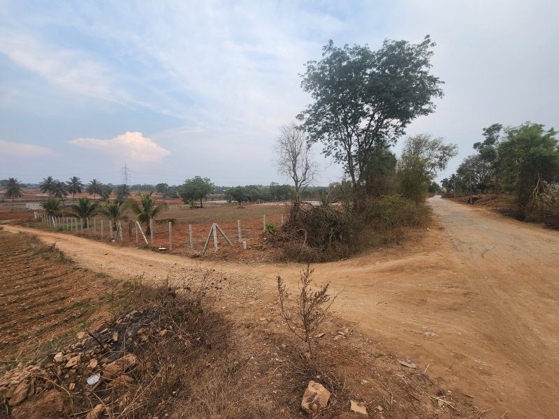  40 Guntha Agricultural/Farm Land for Sale in Jayapura, Mysore