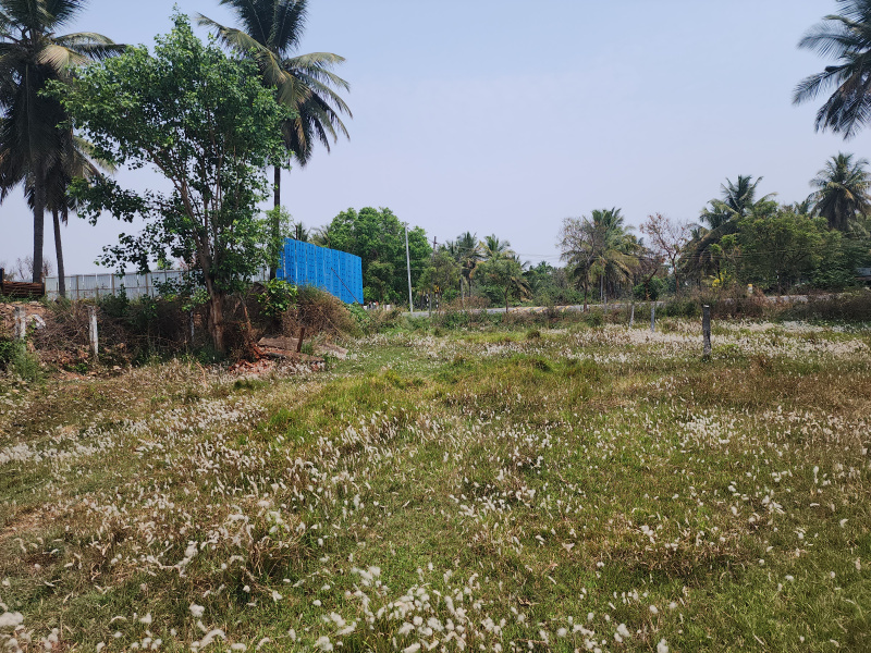  6000 Sq.ft. Commercial Land for Rent in T Narasipura Road, Mysore