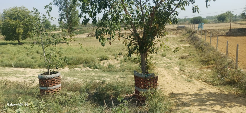  23000 Sq.ft. Commercial Land for Sale in Sultanpur Road, Lucknow